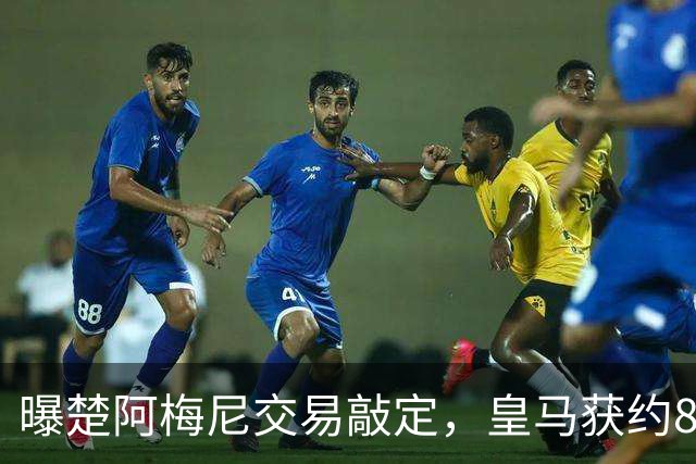 曝楚阿梅尼交易敲定，皇马获约8000万欧转会费，罗德里或加盟皇马